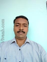 VHP6537  : Mudaliar (Tamil)  from  Chennai
