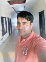 VHQ2136  : Jat (Marwari)  from  Nohar