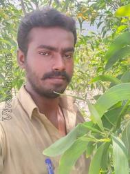 VHQ7766  : Adi Dravida (Tamil)  from  Tirunelveli