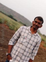 VHQ9835  : Thogata (Telugu)  from  Kurnool