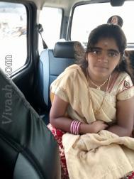 VHR0237  : Chettiar (Tamil)  from  Chennai