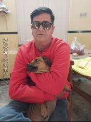 VHR3565  : Brahmin (Rajasthani)  from  Bikaner
