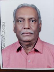 VHR6035  : Brahmin (Marathi)  from  Bhopal