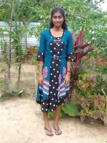 Tamil Other Hindu 19 Years Bride/Girl Jaffna. | Matrimonial Profile ...