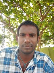 VHU8567  : Kummari (Telugu)  from  Cuddapah
