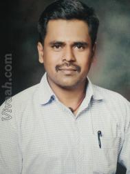 VHV1595  : Kongu Vellala Gounder (Tamil)  from  Coimbatore