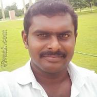 VHV3774  : Kongu Vellala Gounder (Tamil)  from  Salem (Tamil Nadu)