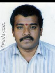VHV5396  : Kongu Vellala Gounder (Tamil)  from  Karur