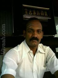 VHW5472  : Mudaliar Senguntha (Tamil)  from  Chennai