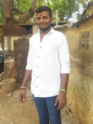VHW9079  : Devanga (Tamil)  from  Madurai
