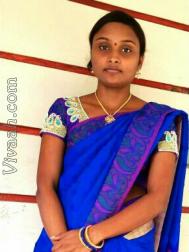 VHX0232  : Arya Vysya (Telugu)  from  Amalapuram