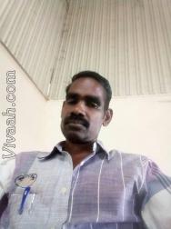 VHX1616  : Vanniyakullak Kshatriya (Tamil)  from  Cuddalore