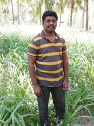 VHX2288  : Mudaliar (Tamil)  from  Gobichettipalayam
