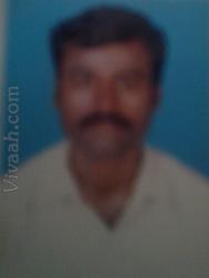 VHX2684  : Yadav (Tamil)  from  Tirunelveli