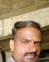 VHX4204  : Saliya (Tamil)  from  Coimbatore