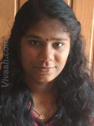 VHX5103  : Kumbara (Malayalam)  from  Palakkad