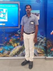 VHX5728  : Pillai (Tamil)  from  Kumbakonam