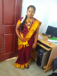 VHX6386  : Devendra Kula Vellalar (Tamil)  from  Dindigul
