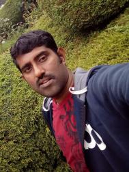 VHX7027  : Chettiar - Devanga (Tamil)  from  Coimbatore