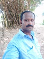 VHX8315  : Chettiar - Devanga (Tamil)  from  Erode