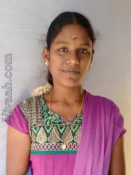VHX9727  : Devendra Kula Vellalar (Tamil)  from  Karur