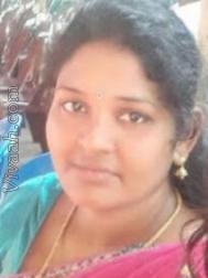 VHY3024  : Sozhiya Vellalar (Tamil)  from  Salem (Tamil Nadu)