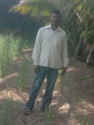 VHY3177  : Syed (Kannada)  from  Bijapur