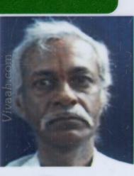 VHZ6948  : Brahmin Niyogi Aruvela (Telugu)  from  Hyderabad