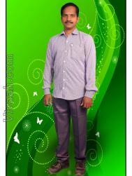 VHZ8141  : Brahmin Niyogi Aruvela (Telugu)  from  Nellore