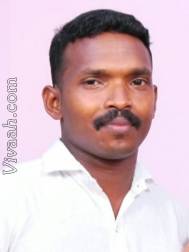 VIB0141  : Kuravan (Malayalam)  from  Thiruvananthapuram