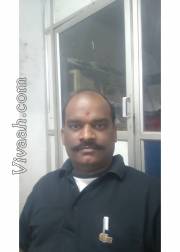 VIB0831  : Kshatriya (Tamil)  from  Bangalore