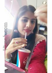 VIB0887  : Ansari (Hindi)  from  Jabalpur