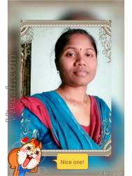 VIB3564  : Maruthuvar (Tamil)  from  Coimbatore