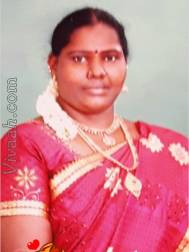 VIB9915  : Arunthathiyar (Tamil)  from  Coimbatore