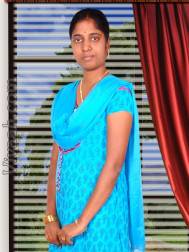 VIC2644  : Adi Dravida (Tamil)  from  Chennai
