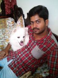 VIC2922  : Reddy (Telugu)  from  Guntur