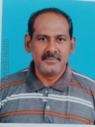 VID0946  : Mudaliar (Tamil)  from  Coimbatore