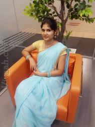 VID2165  : Telaga (Telugu)  from  Chennai