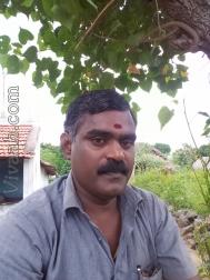 VID3499  : Yadav (Tamil)  from  Vriddhachalam