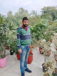 VID7102  : Majabi (Punjabi)  from  Amritsar