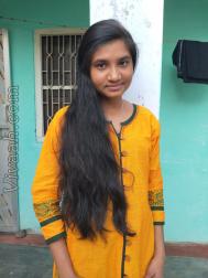 VID7804  : Kayastha (Bengali)  from  Motihari