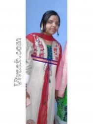VID9122  : Ravidasia (Punjabi)  from  Jalandhar