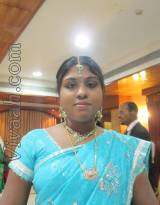 VIE1738  : Mudaliar (Tamil)  from  Chennai