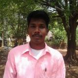 VIE9699  : Muthuraja (Tamil)  from  Thanjavur