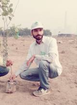 VIF7793  : Ravidasia (Punjabi)  from  Mansa