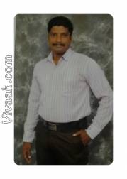 VIG0130  : Naidu (Telugu)  from  Chennai