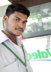 VIG0212  : Mudaliar (Tamil)  from  Chennai