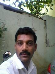 VIG3404  : Mudaliar (Tamil)  from  Chennai