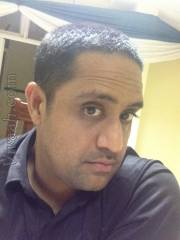 VIG4648  : Brahmin Anavil (Gujarati)  from South Africa