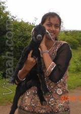 pallavi_13  : CKP (Marathi)  from  Satara